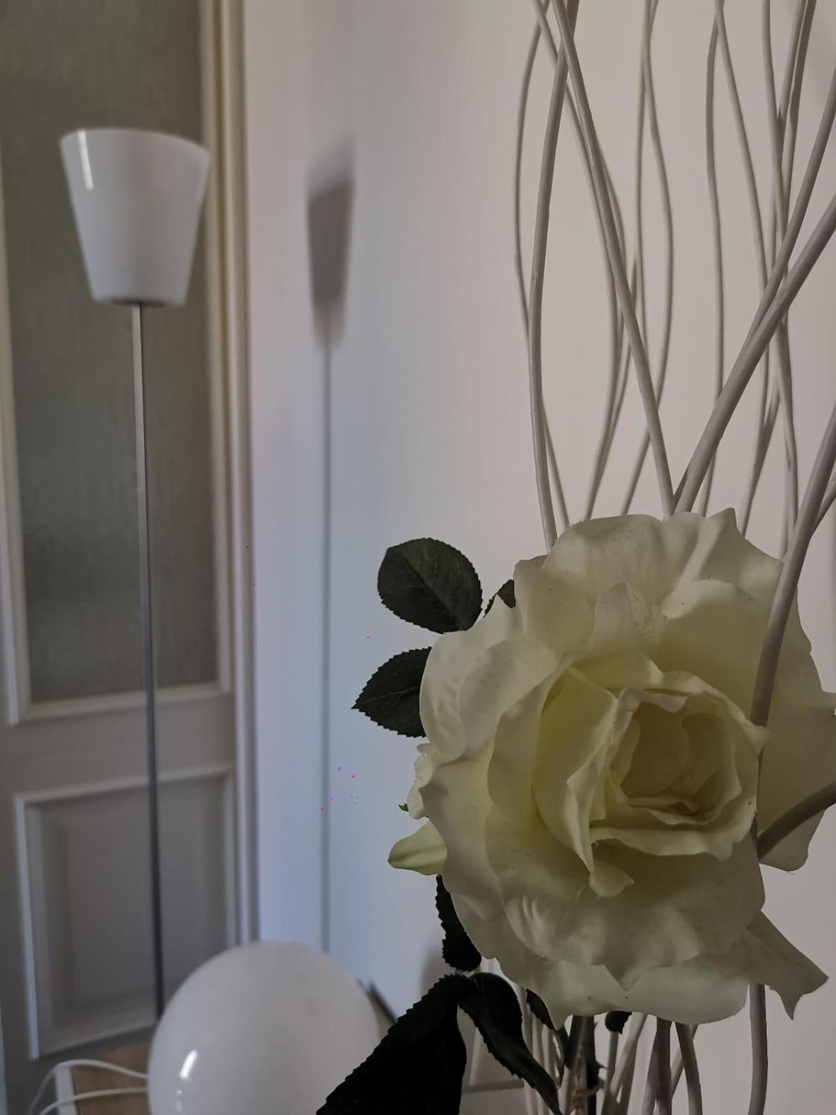 A Casa Di Luca Attico Di Design Appartement *