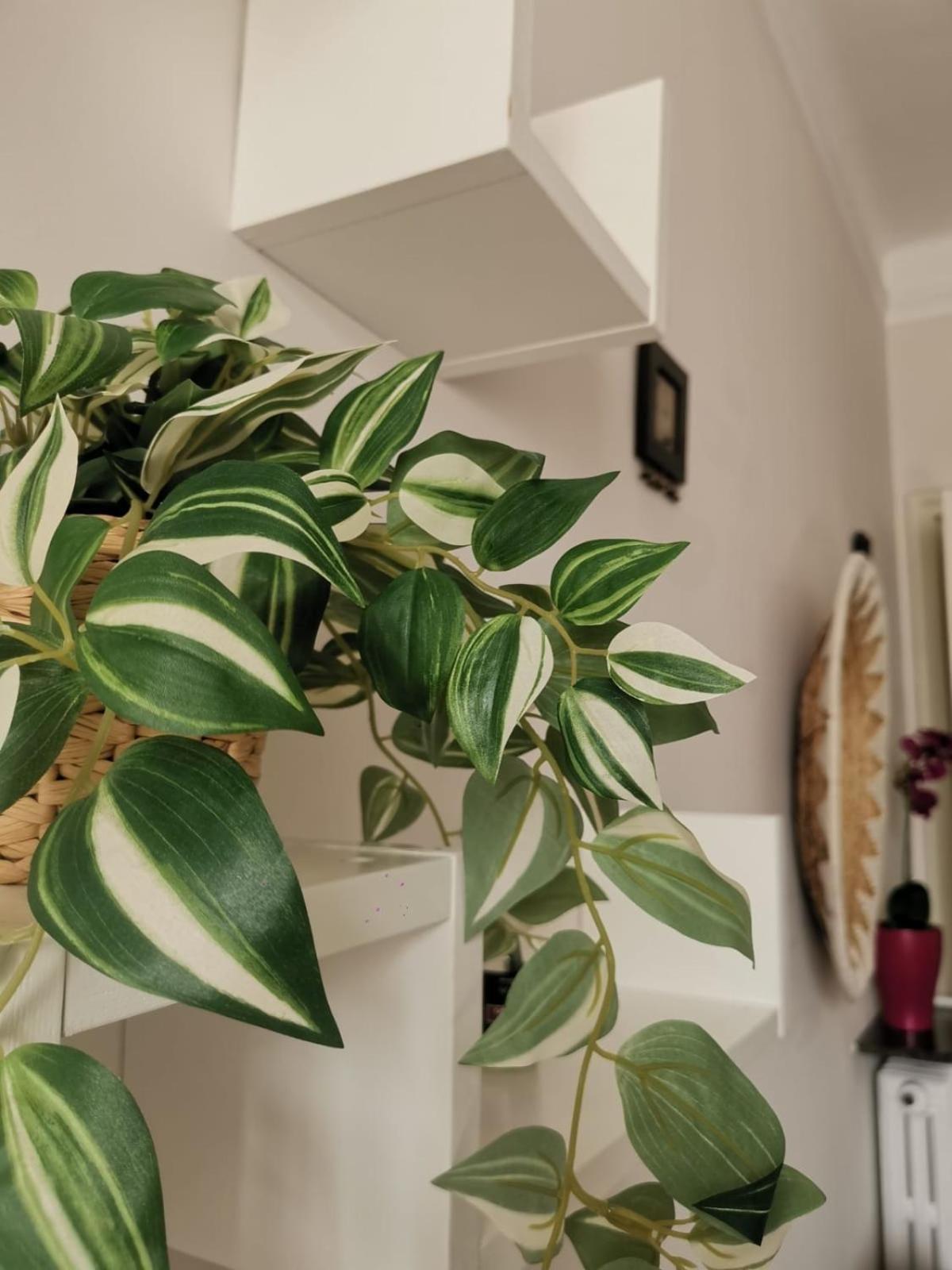 A Casa Di Luca Attico Di Design Genova