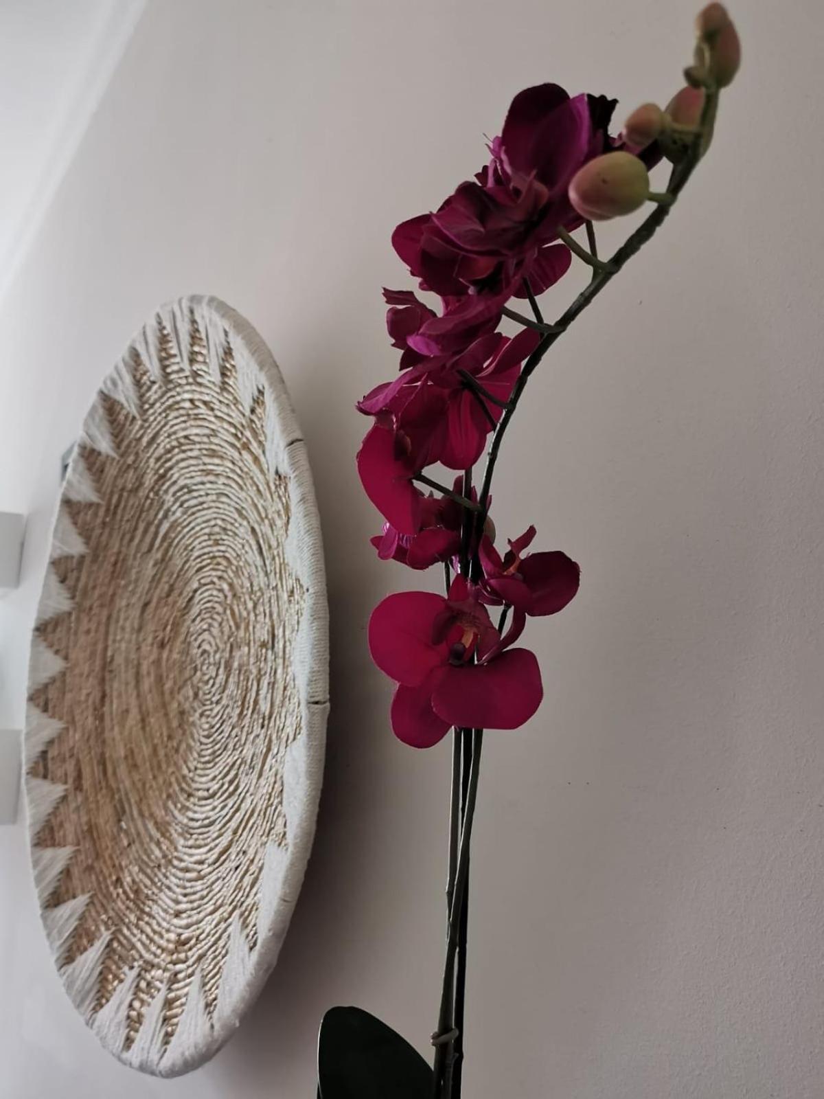 A Casa Di Luca Attico Di Design